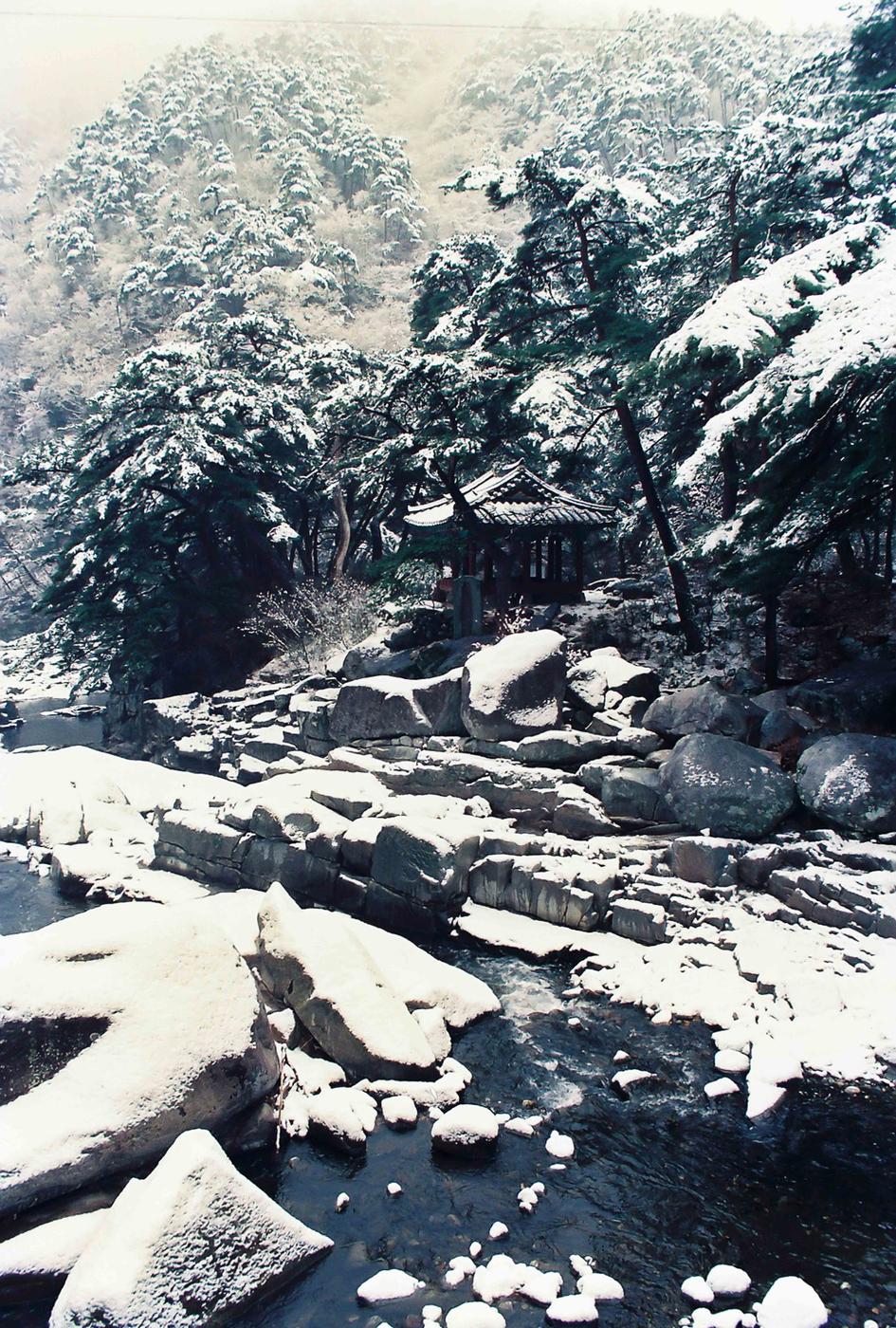 설경