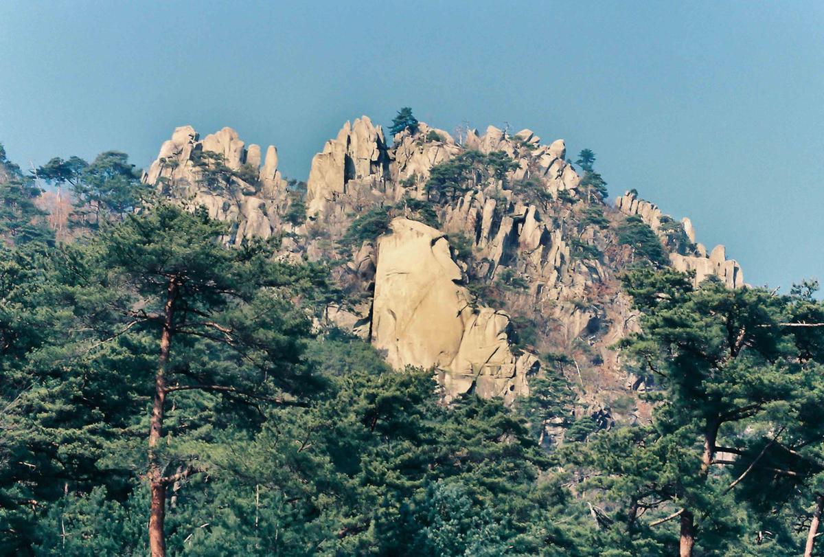 풍경