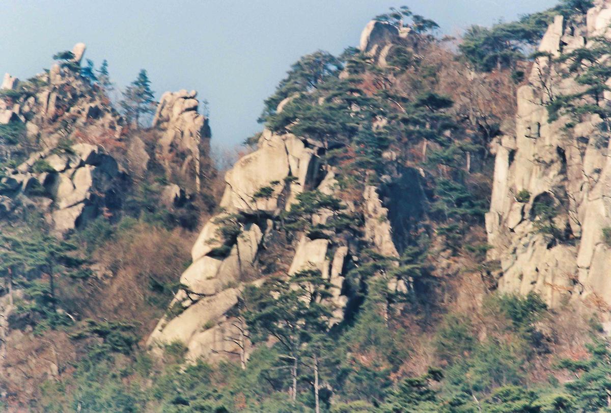 풍경
