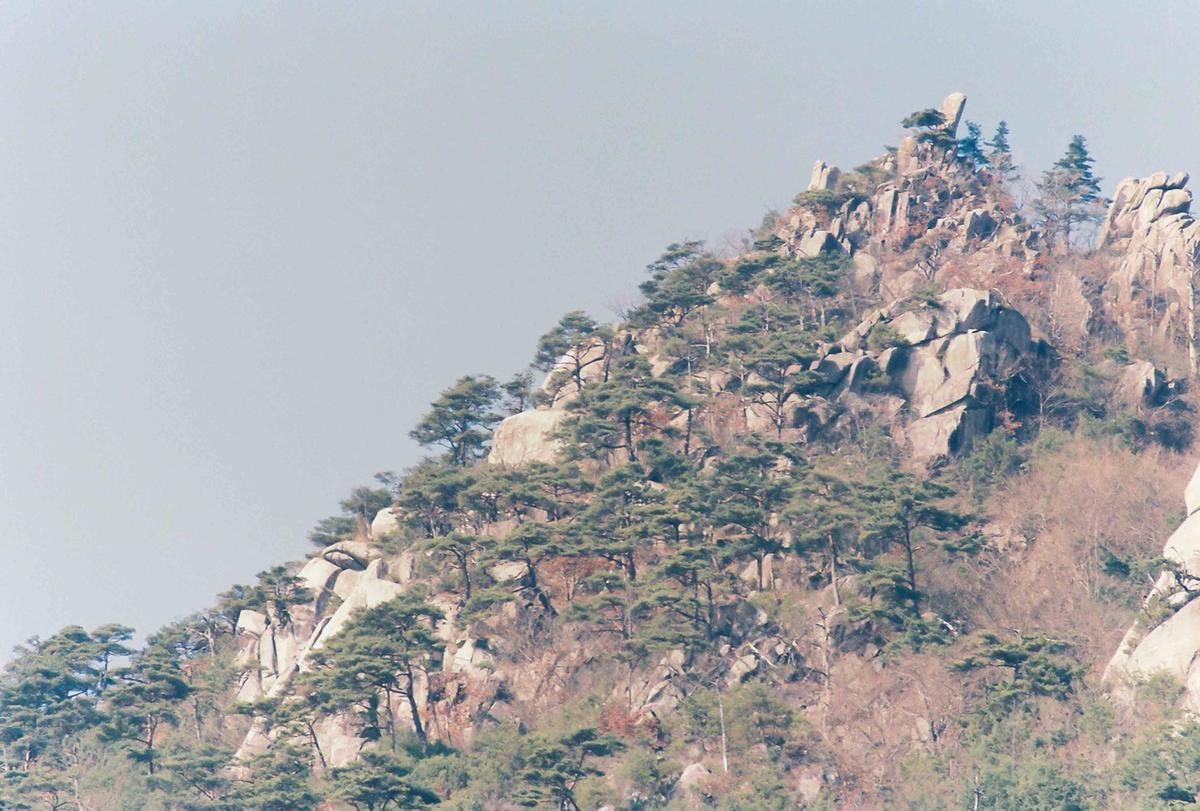 풍경