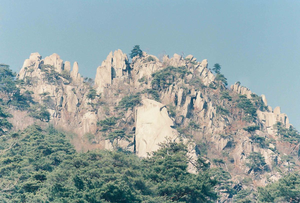 풍경