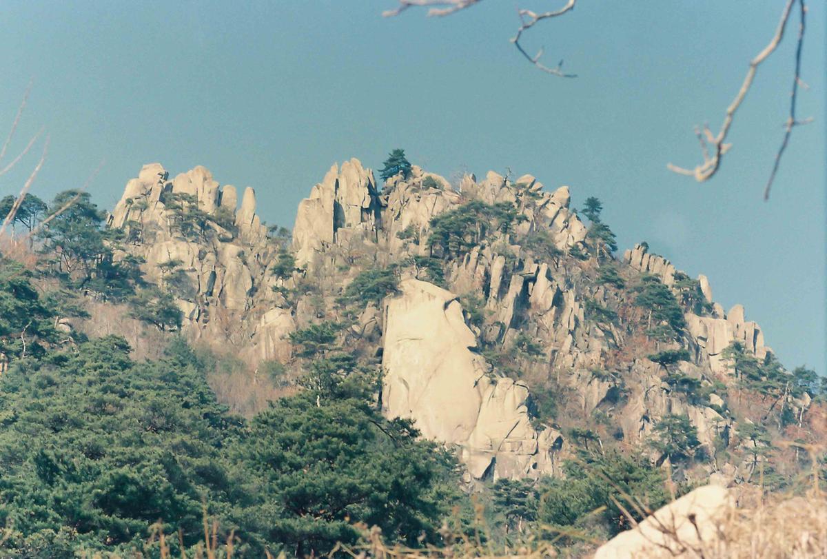 풍경