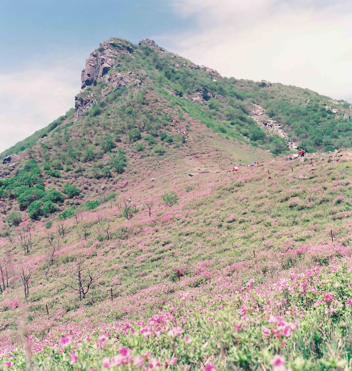 풍경