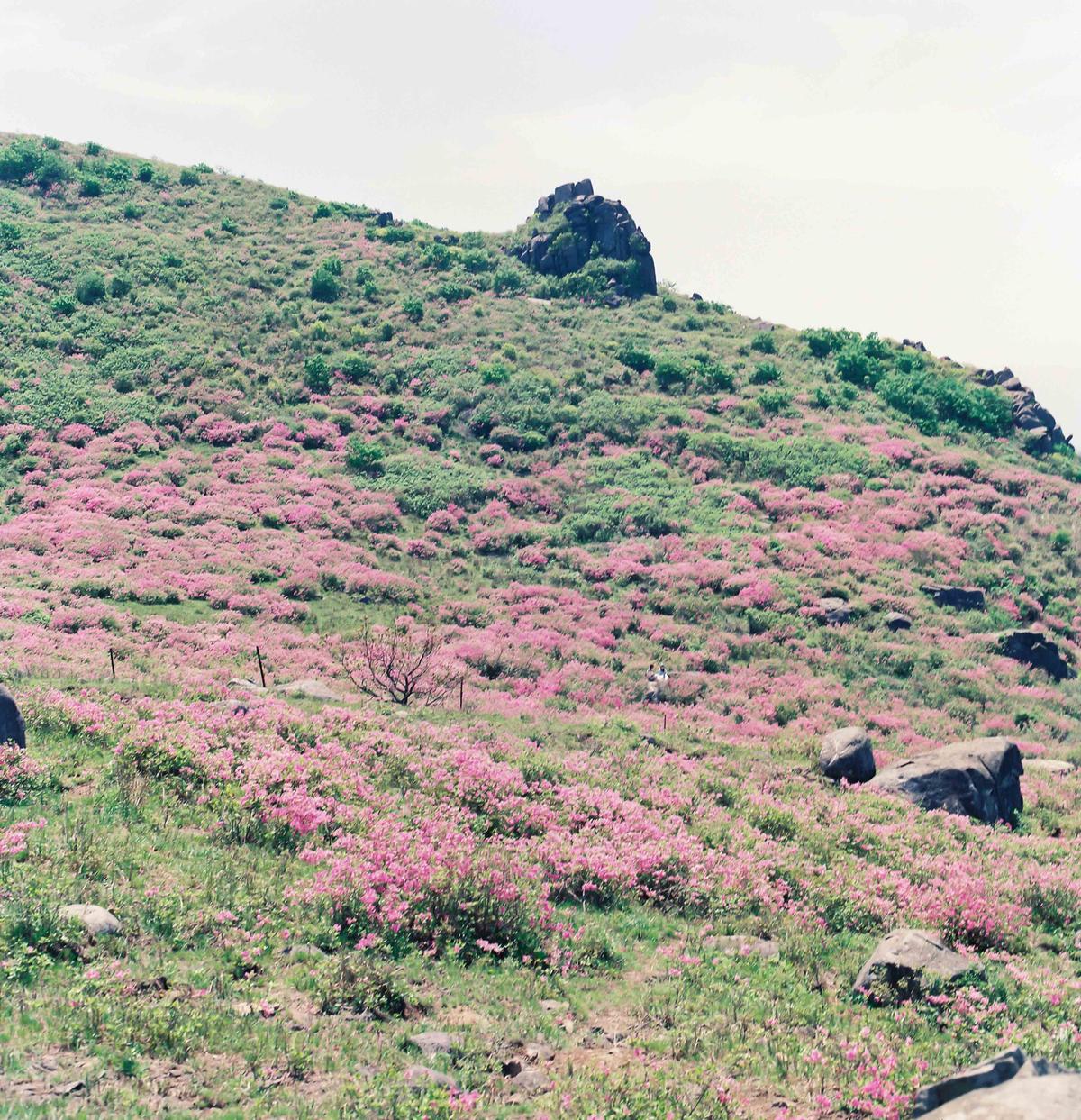 풍경