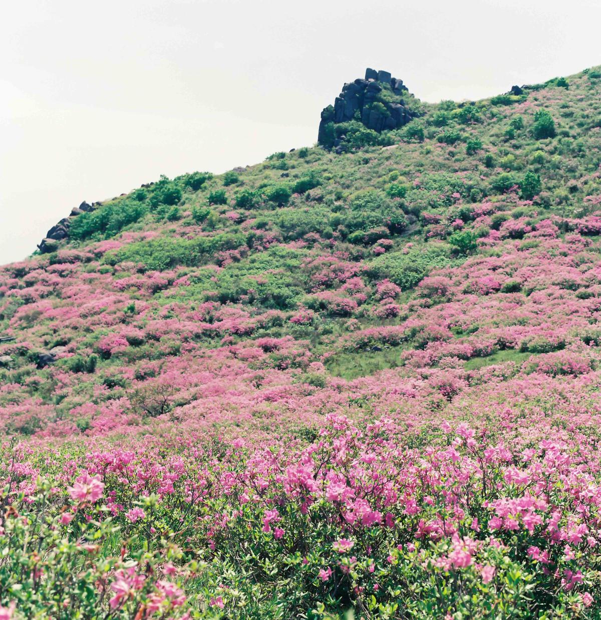 풍경