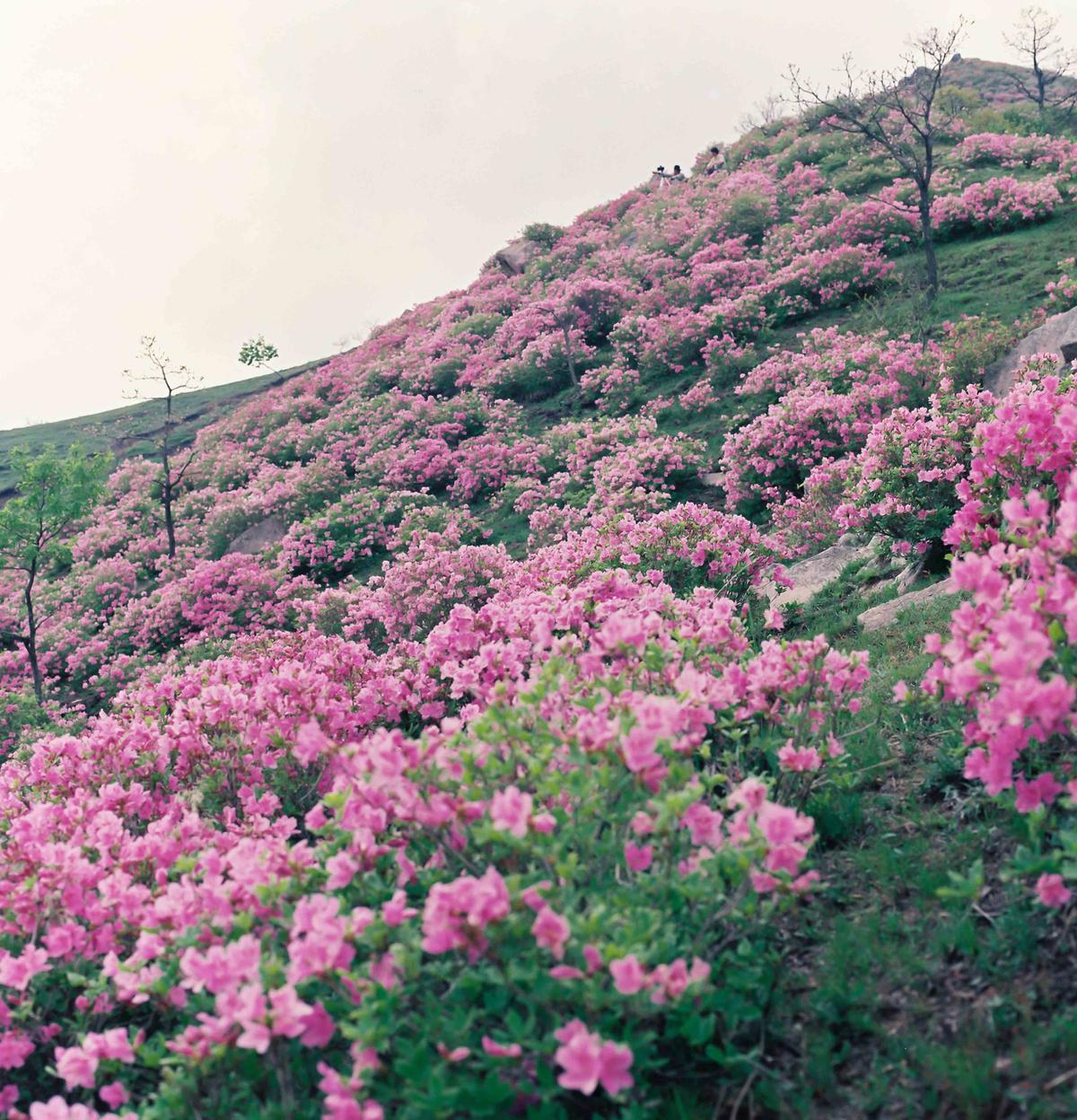 풍경