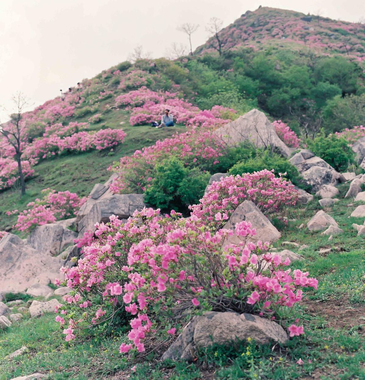 풍경