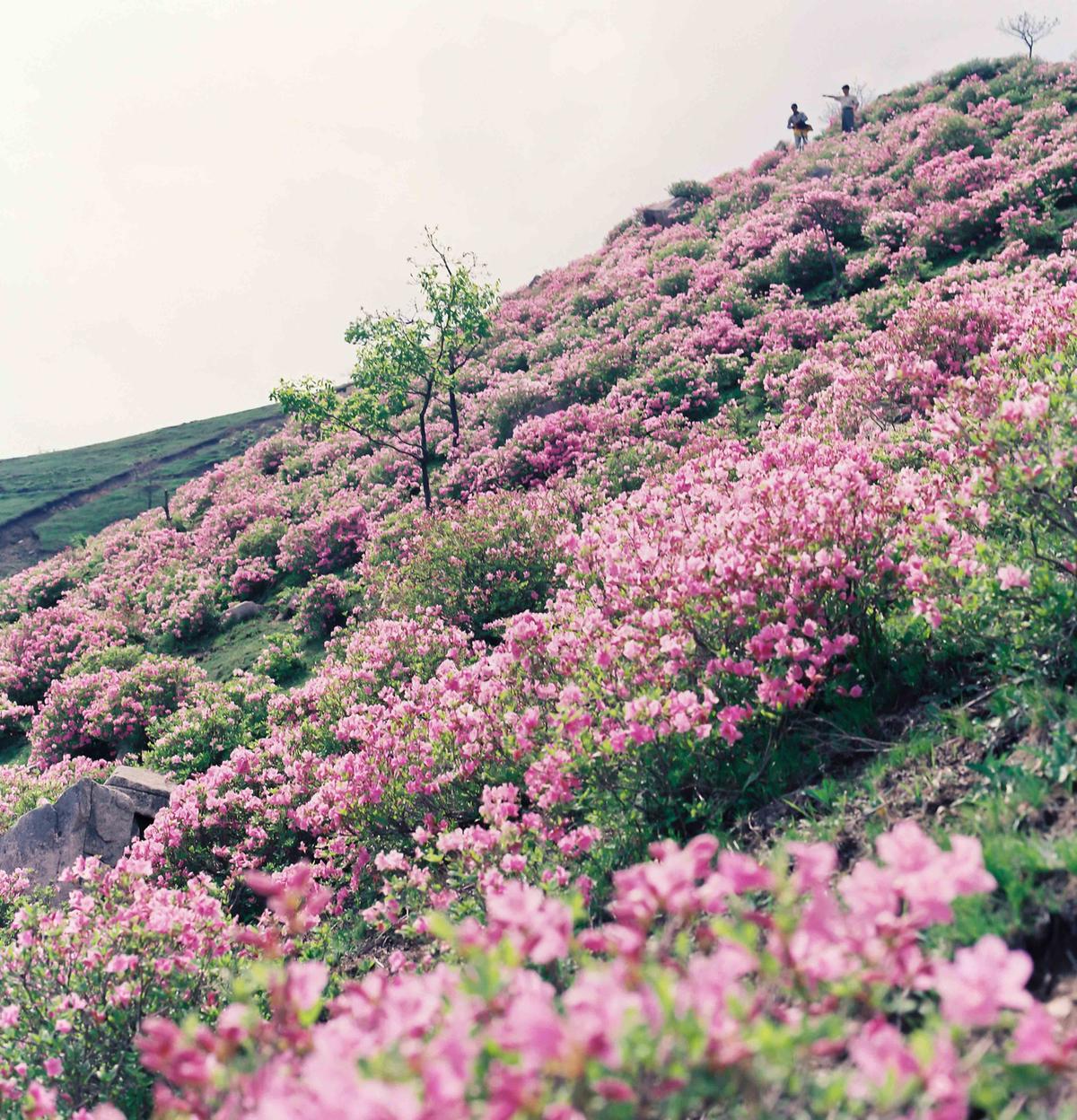 풍경