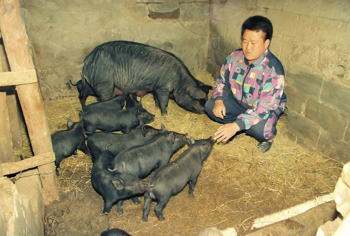 흙돼지농장