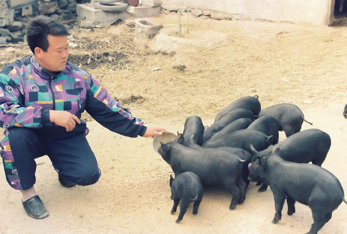 흙돼지농장