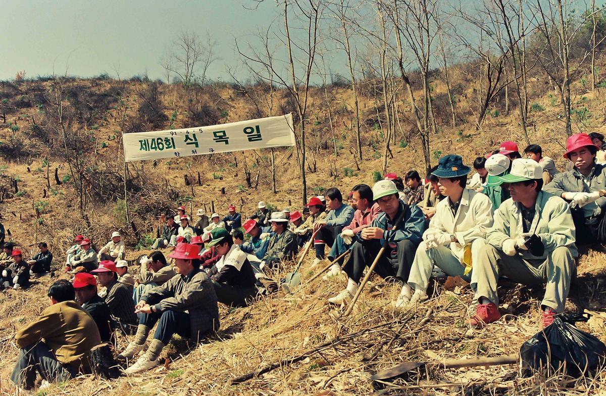 '91 제46회 식목일