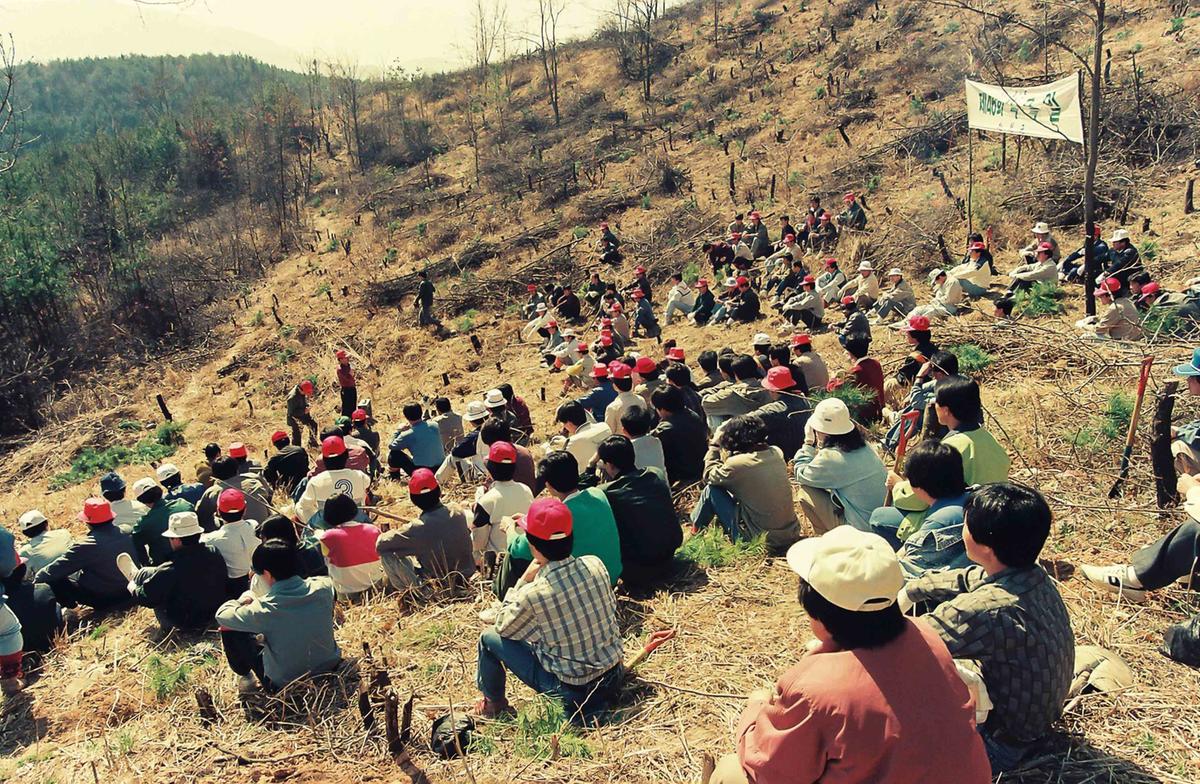 '91 제46회 식목일