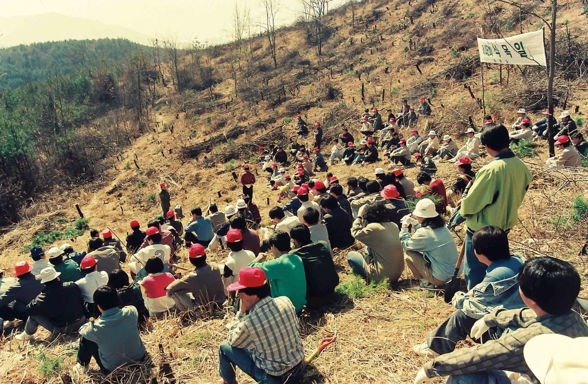 '91 제46회 식목일