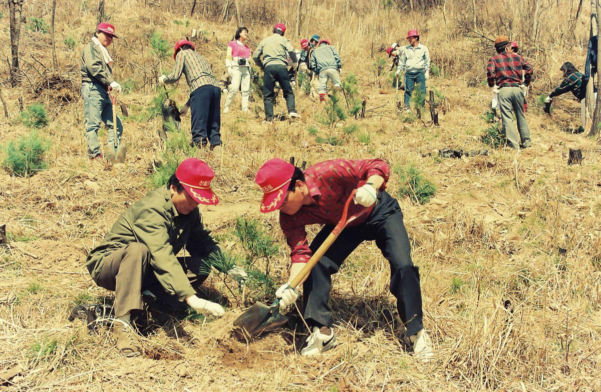 '91 제46회 식목일
