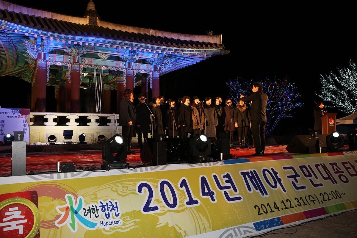 2014제야군민타종식및신년메세지전달