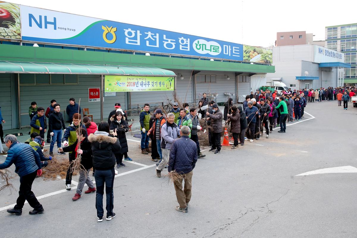내 나무 갖기 캠페인
