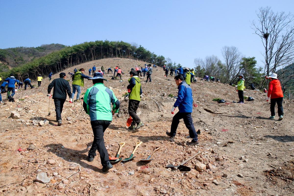 제73회 식목일 행사