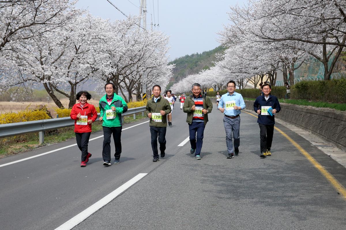 제17회 합천벚꽃마라톤 대회