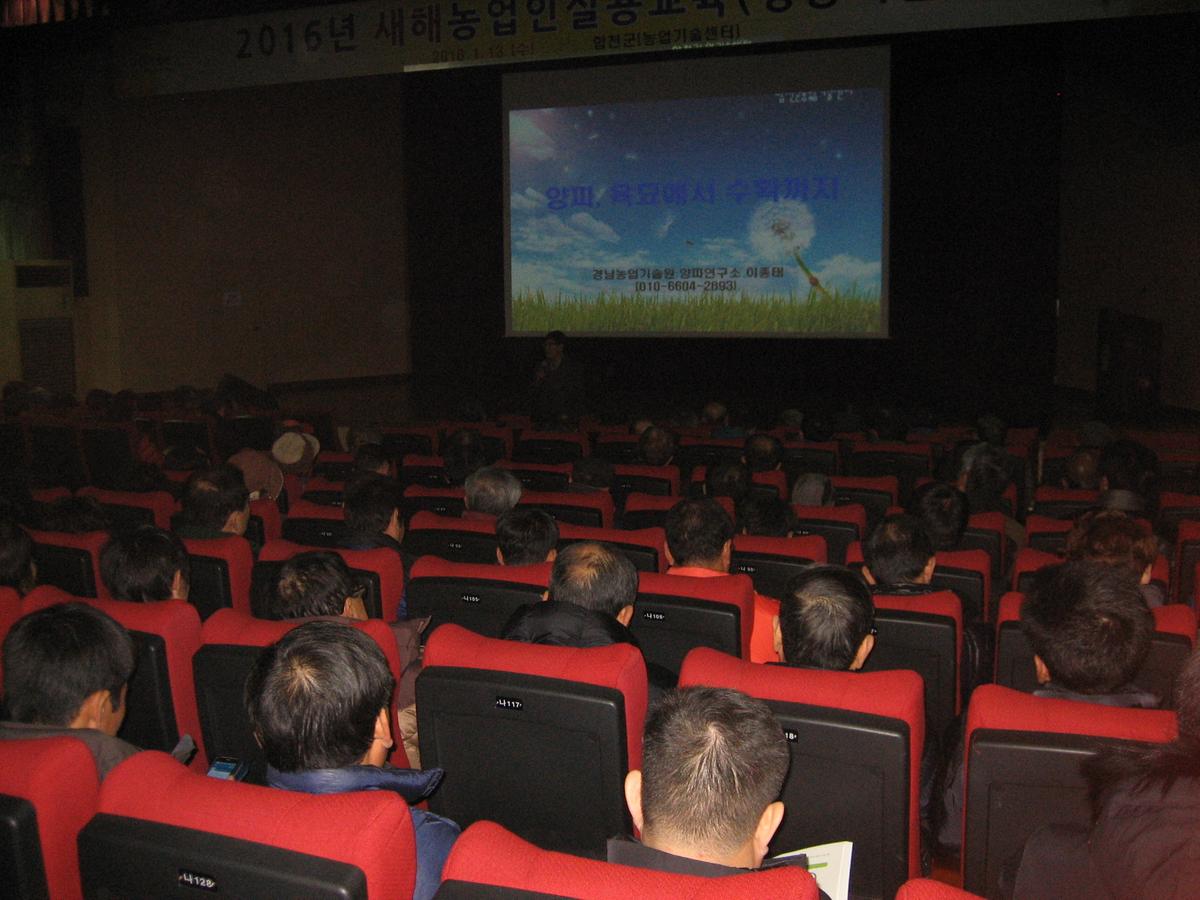실용교육(양파, 1.13 복지회관