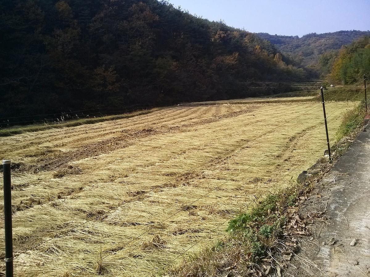 유해 야생동물 피해 예방사업