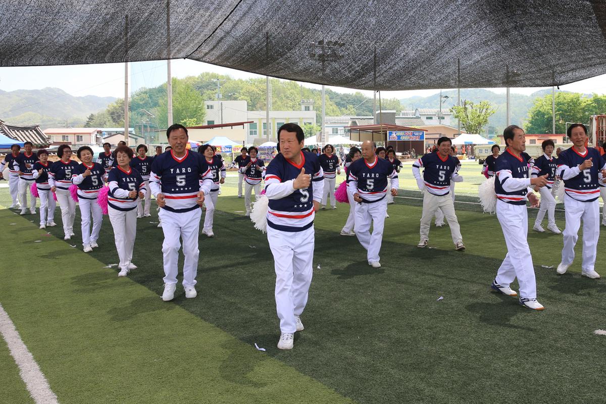 제49회 야로면민 체육대회 및 화합한마당