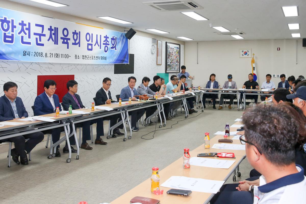 합천군체육회 임시총회