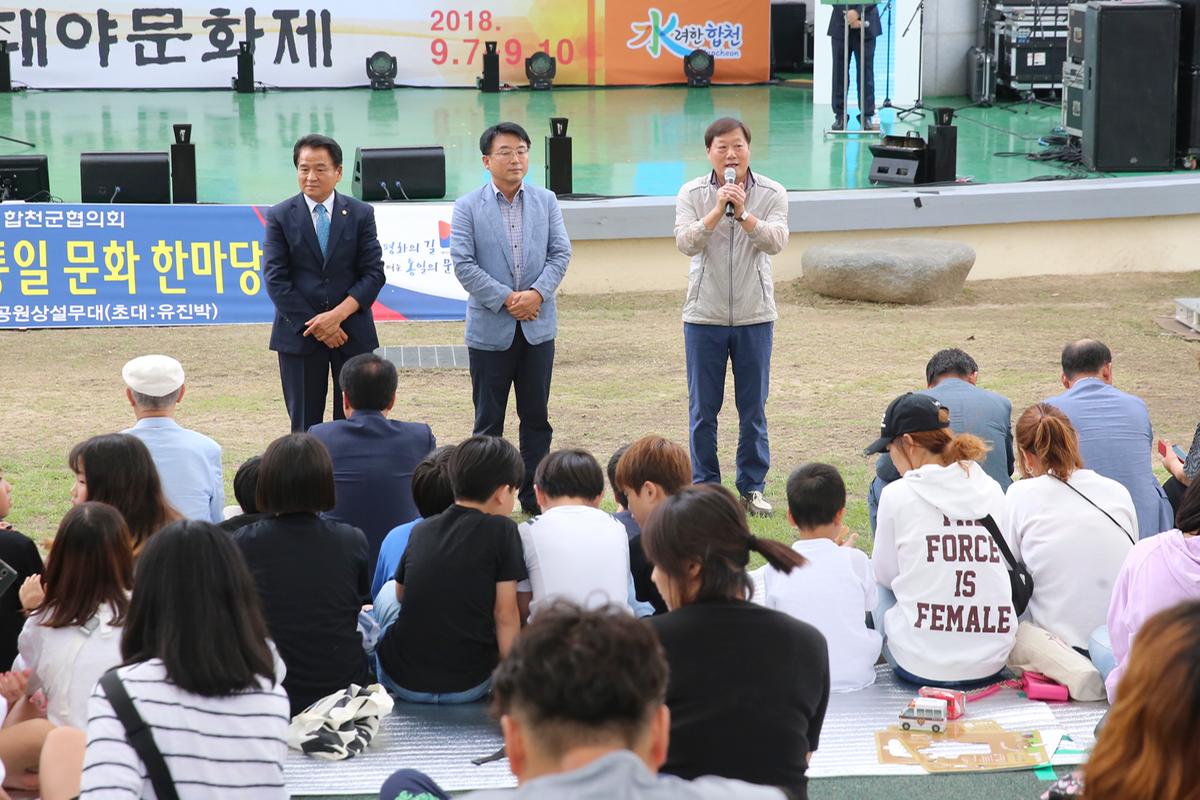 청소년 평화통일 문화 한마당