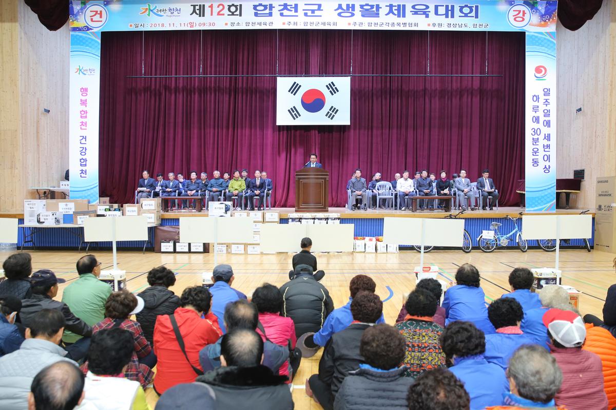 제12회 합천군생활체육대회