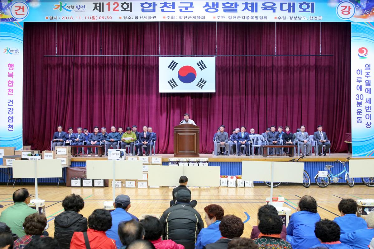 제12회 합천군생활체육대회