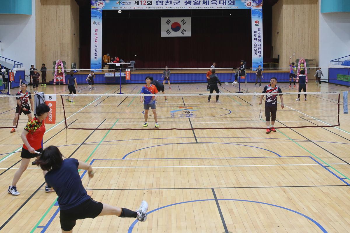제12회 합천군생활체육대회