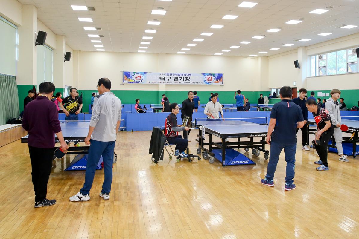 제12회 합천군생활체육대회