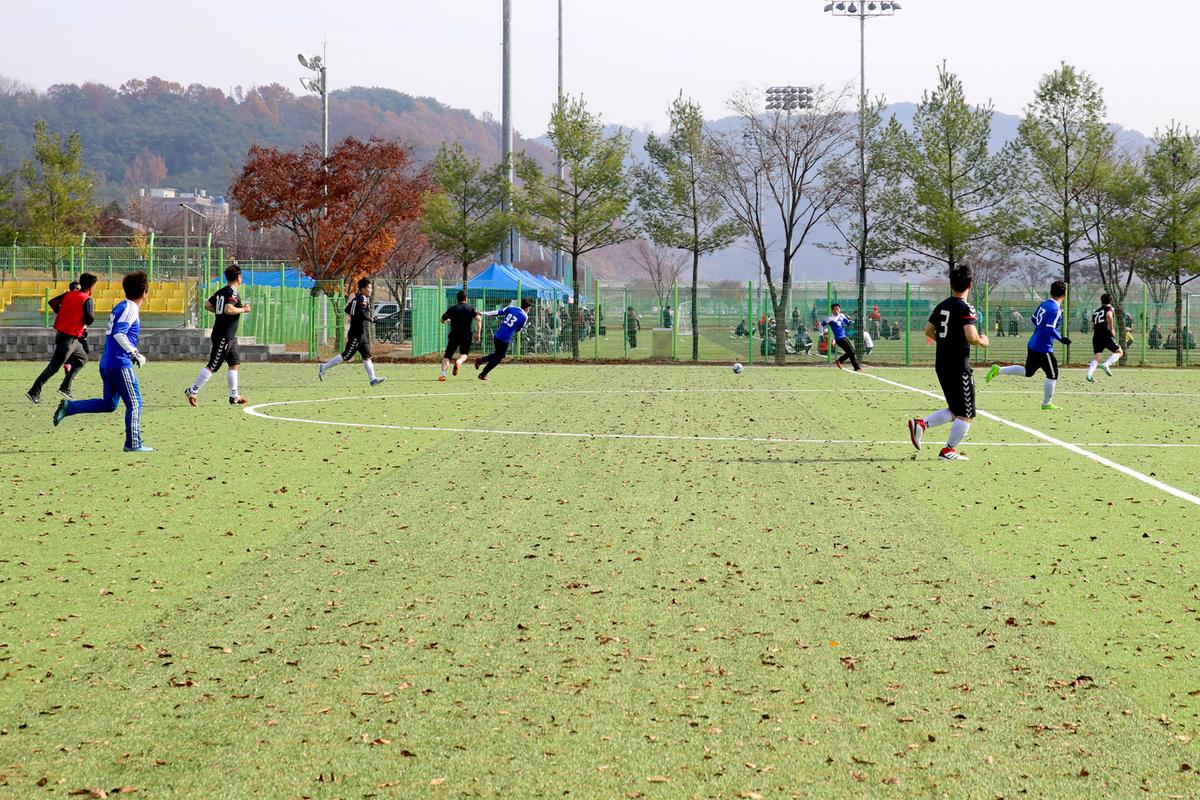 제12회 합천군생활체육대회