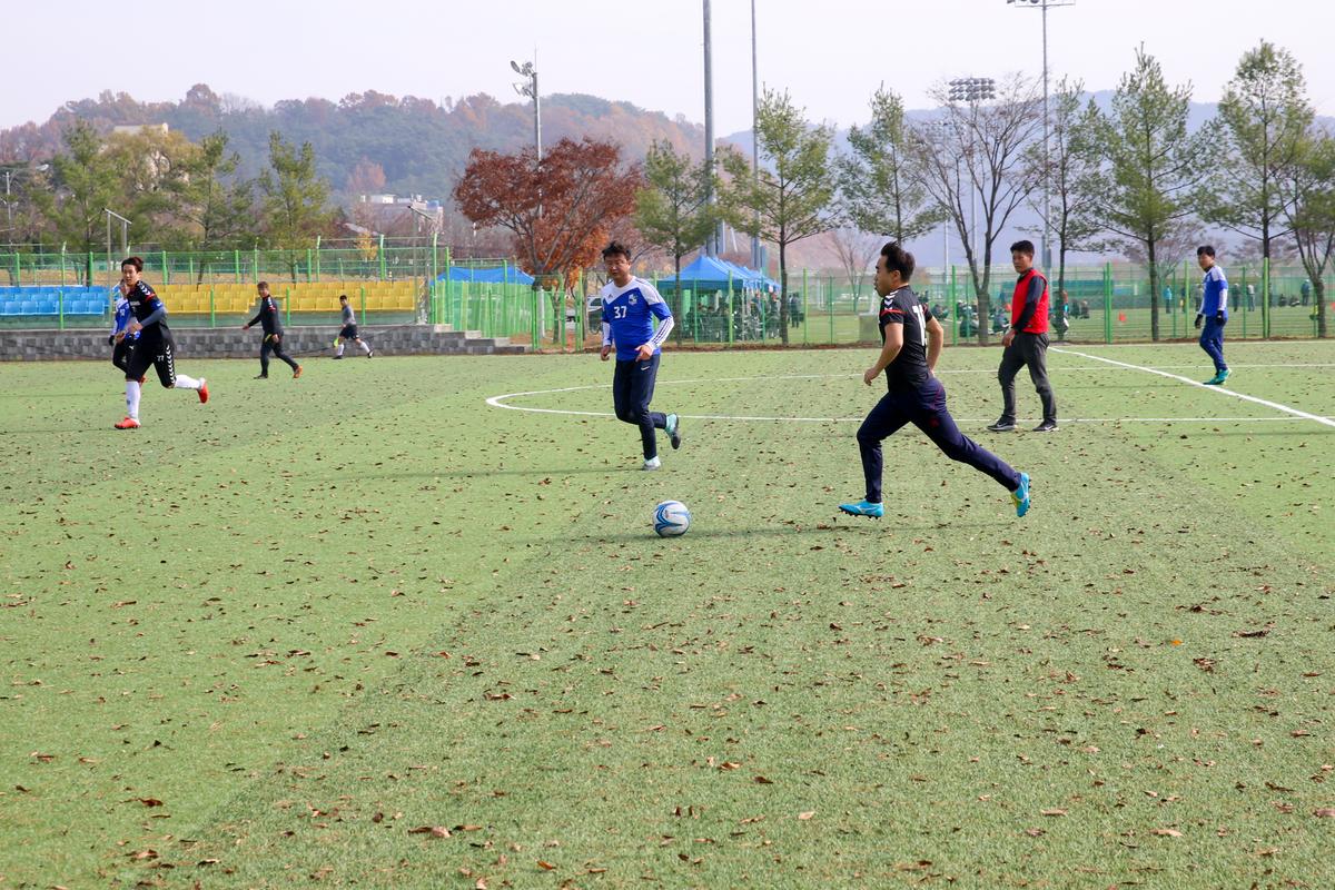 제12회 합천군생활체육대회