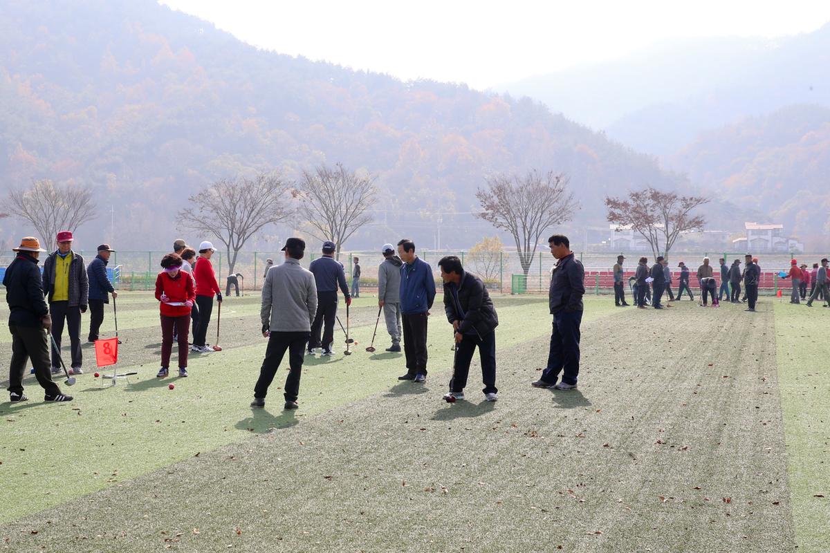 제12회 합천군생활체육대회