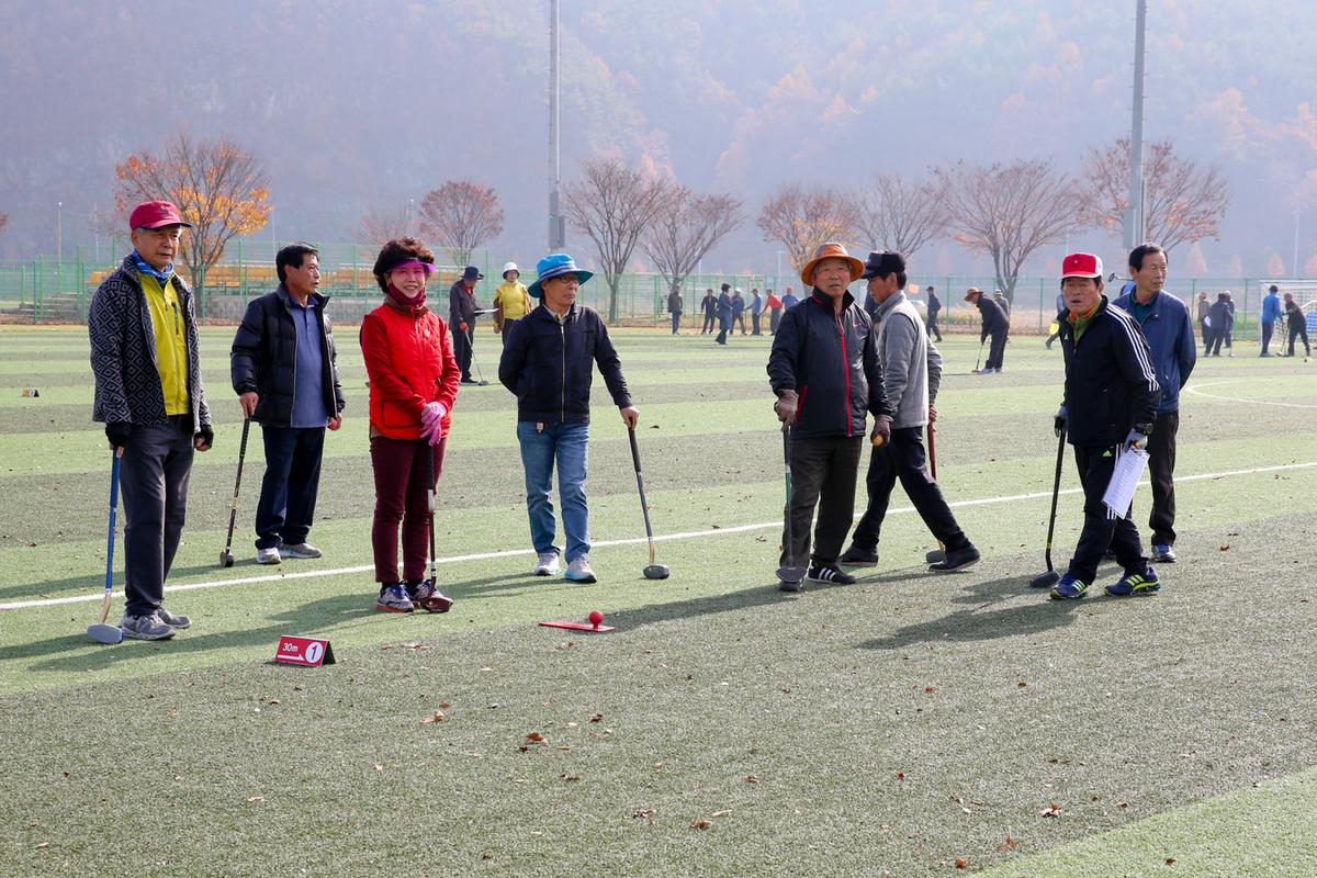 제12회 합천군생활체육대회