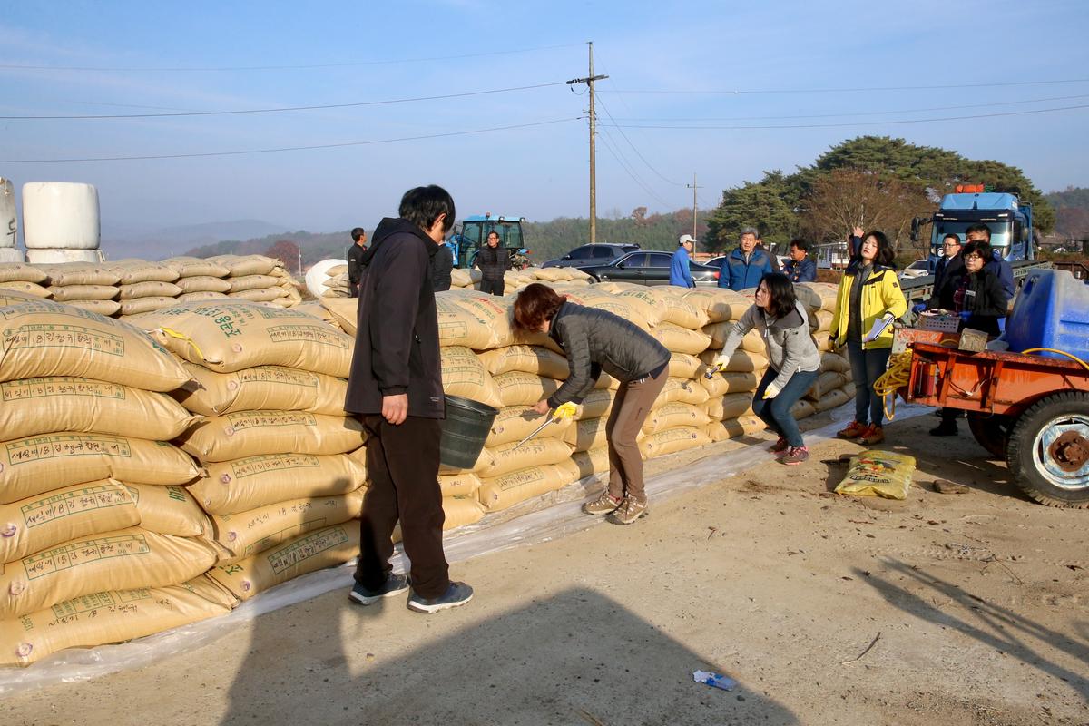 쌍백면 공공비축미 매입 현장 방문