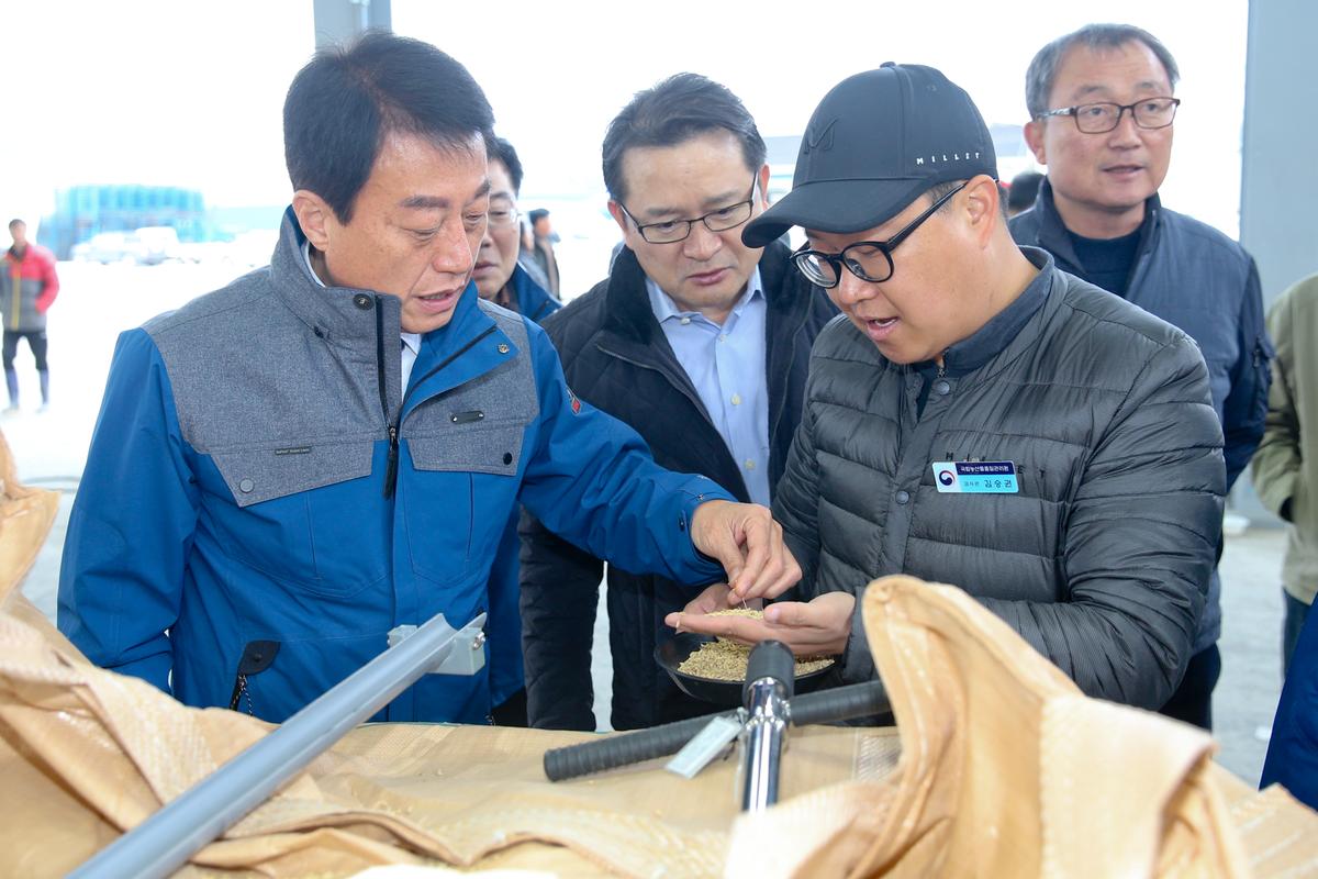 용주면 공공비축미 매입 현장
