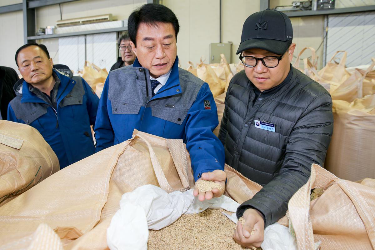 용주면 공공비축미 매입 현장