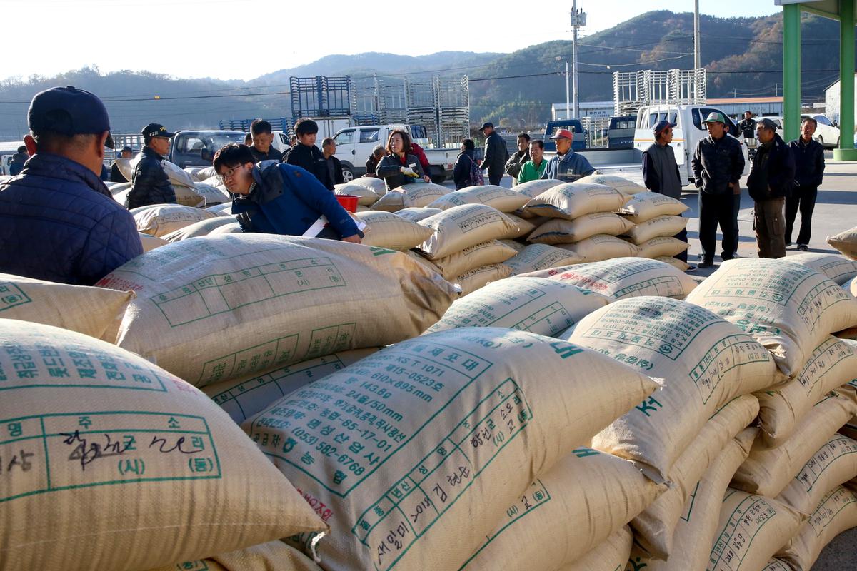 삼가면 공공비축미 매입 현장 방문