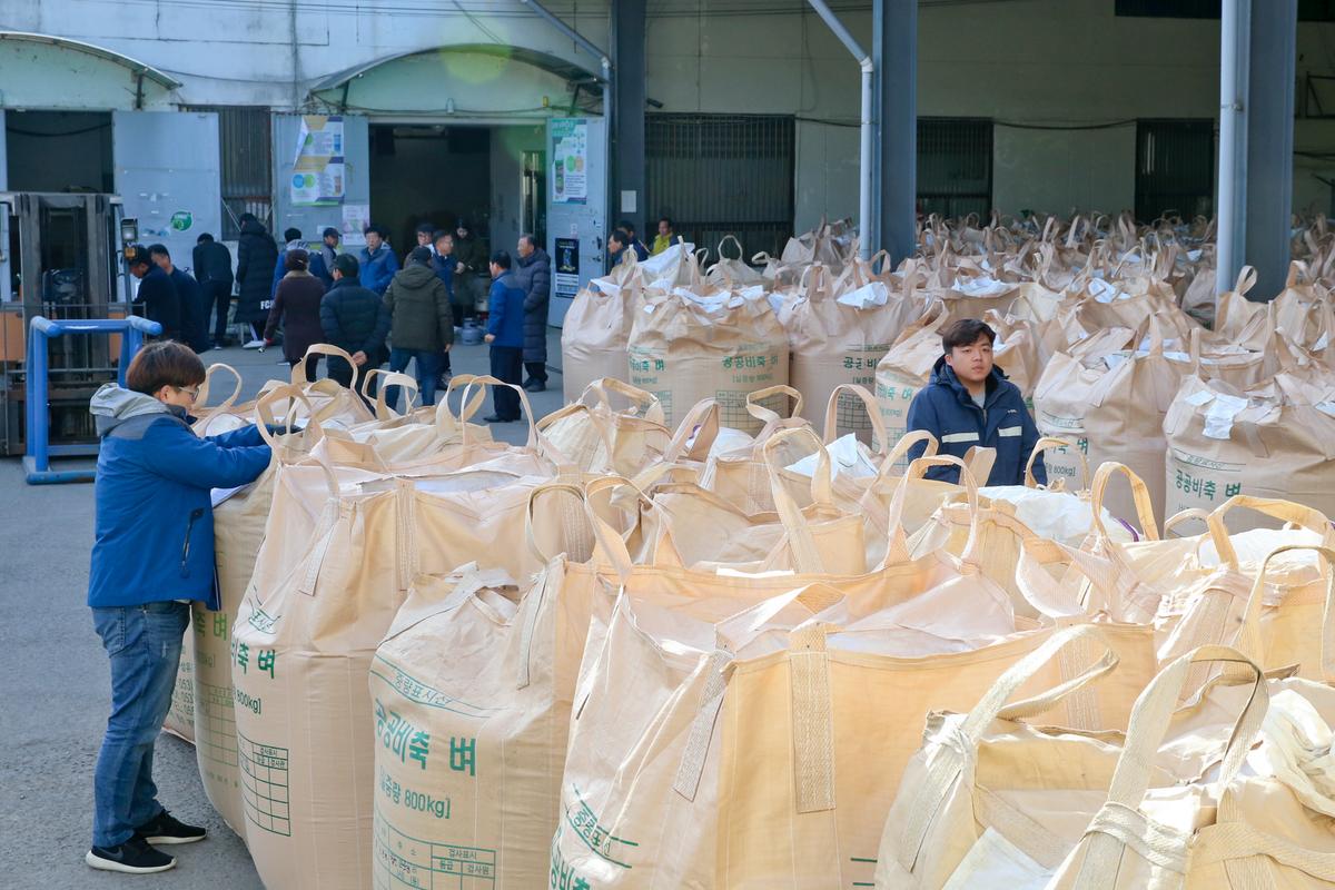 청덕면 공공비축미 매입 현장 방문