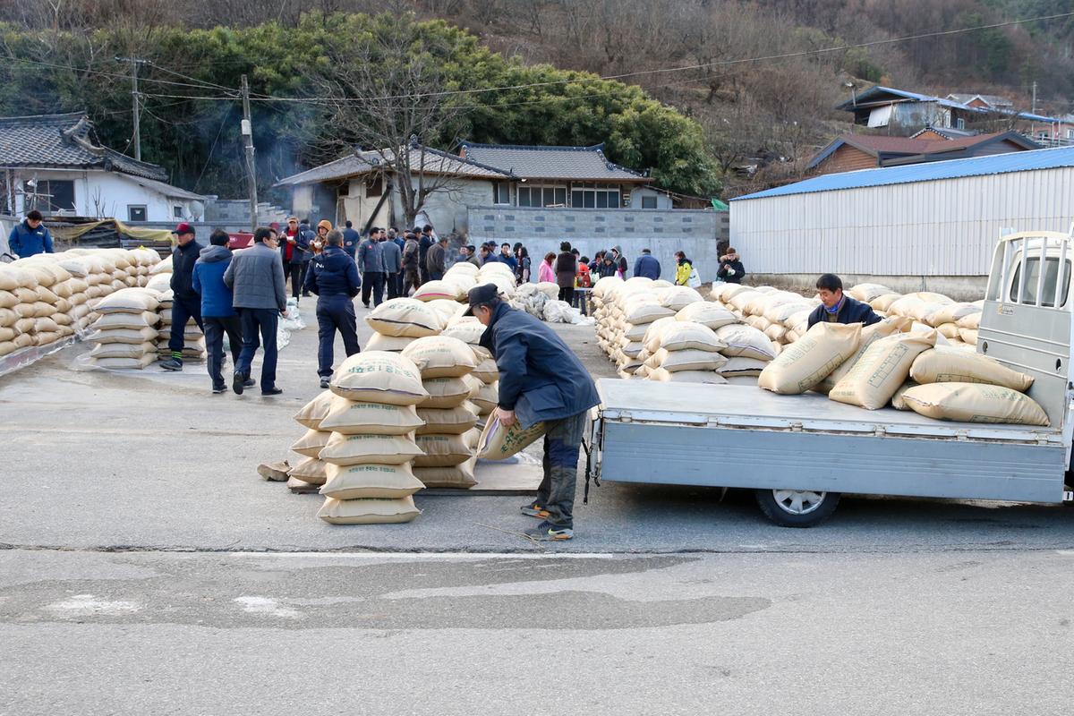 봉산면  공공비축미 매입