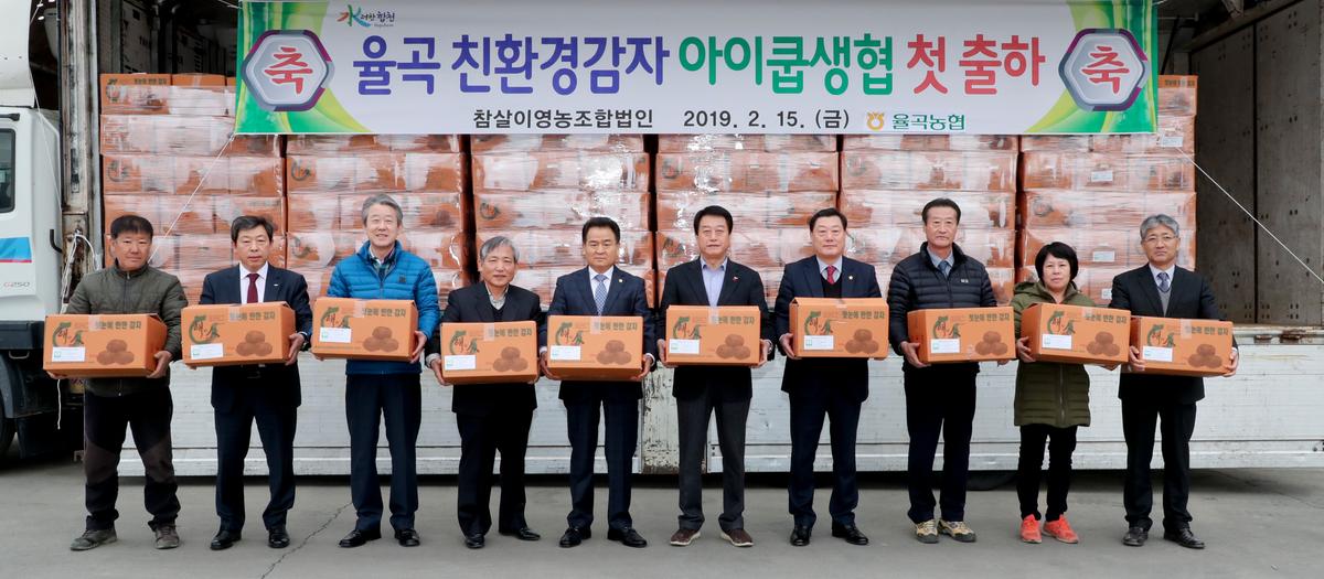 친환경 감자 아이쿱 출하 현장 방문