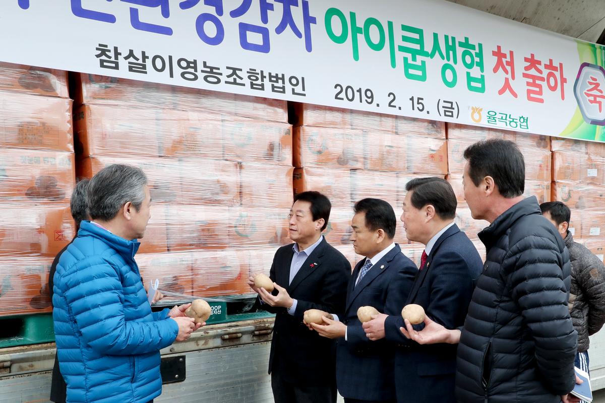 친환경 감자 아이쿱 출하 현장 방문
