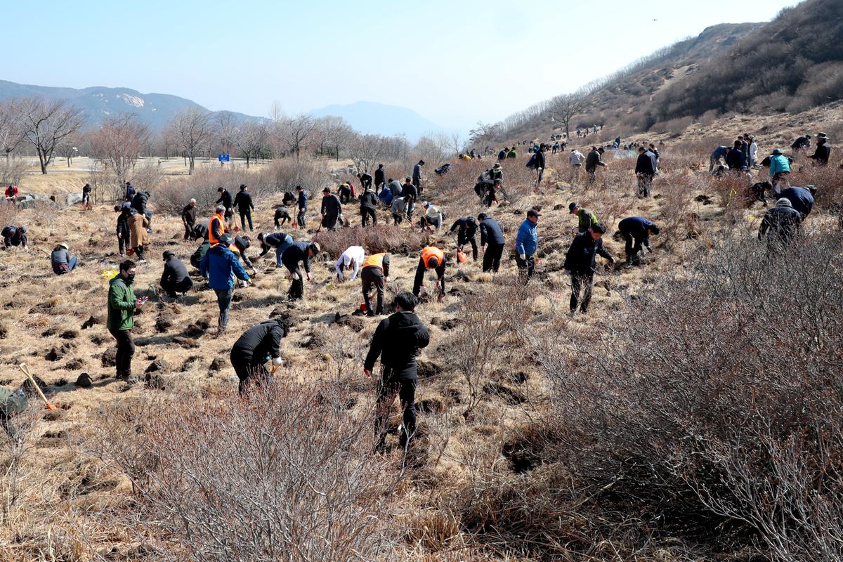 봄철 나무심기 착수 행사 및 제74회 식목일행사
