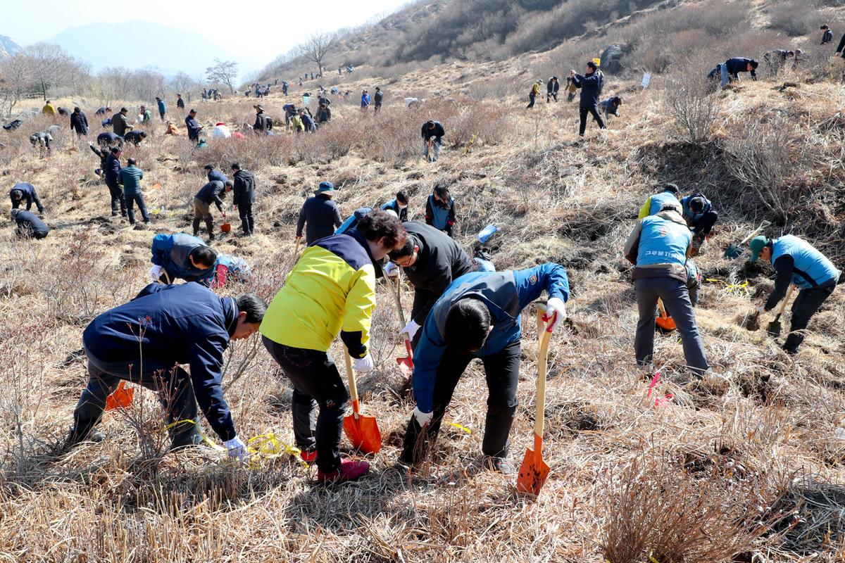 봄철 나무심기 착수 행사 및 제74회 식목일행사