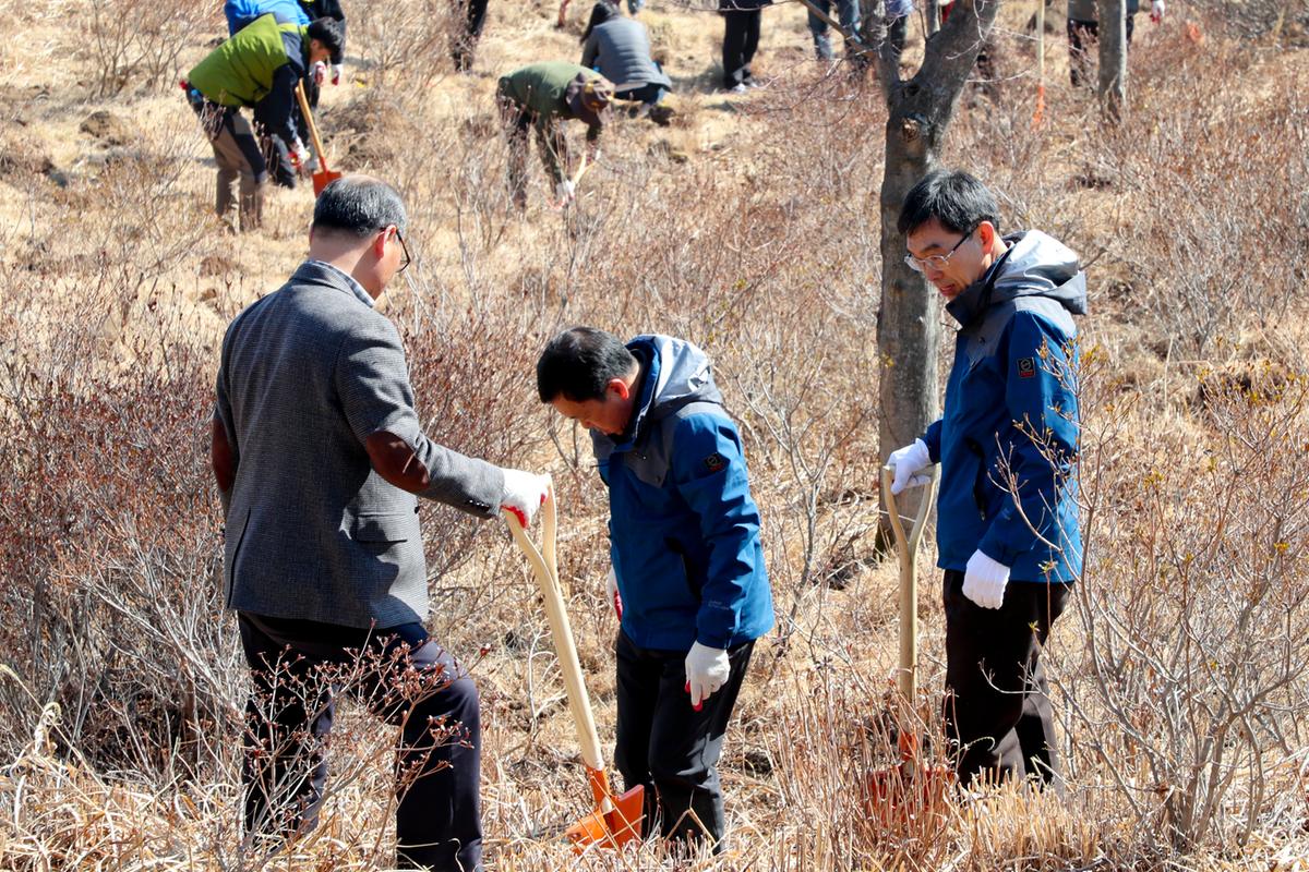 봄철 나무심기 착수 행사 및 제74회 식목일행사