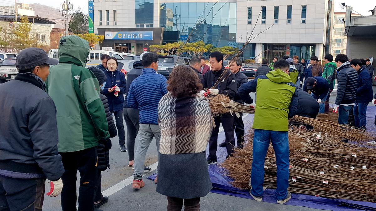 내나무 갖기 캠페인 행사