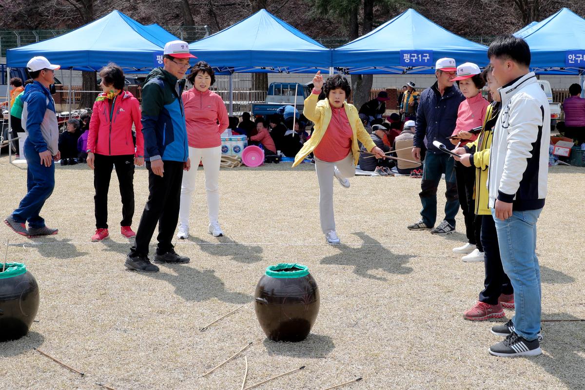 제29회 쌍백면민체육대회