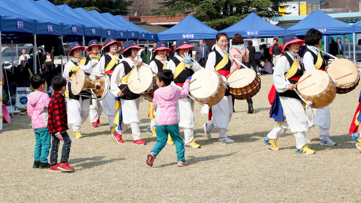 제29회 쌍백면민체육대회