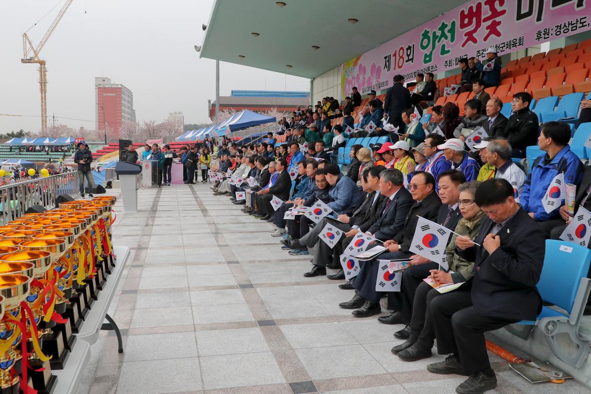 제18회 합천벚꽃마라톤 대회1